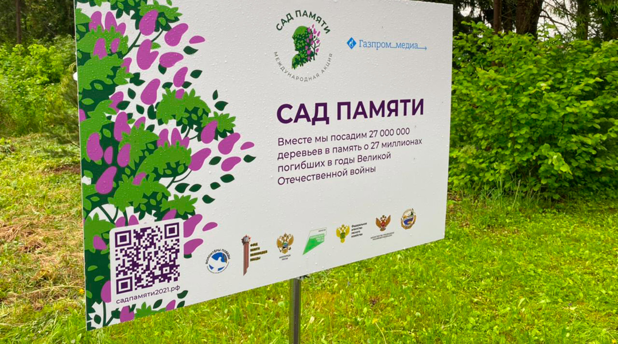 Gazprom-Media Holding supports Sad Pamyati campaign cover