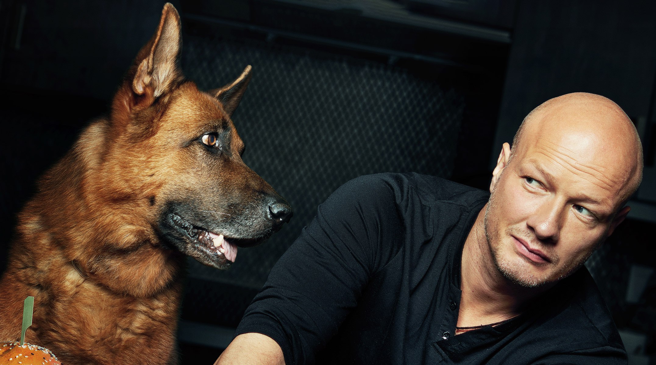 Gazprom-Media Holding summed up the results of blocking pirated links cover