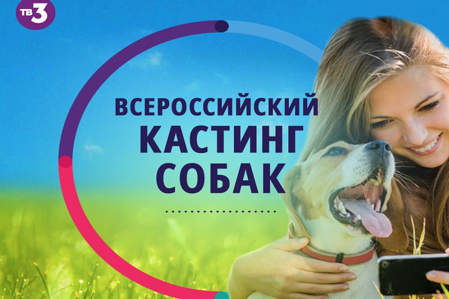 ТВ-3 проводит кастинг в новое дог-шоу «Лучший пёс» обложка